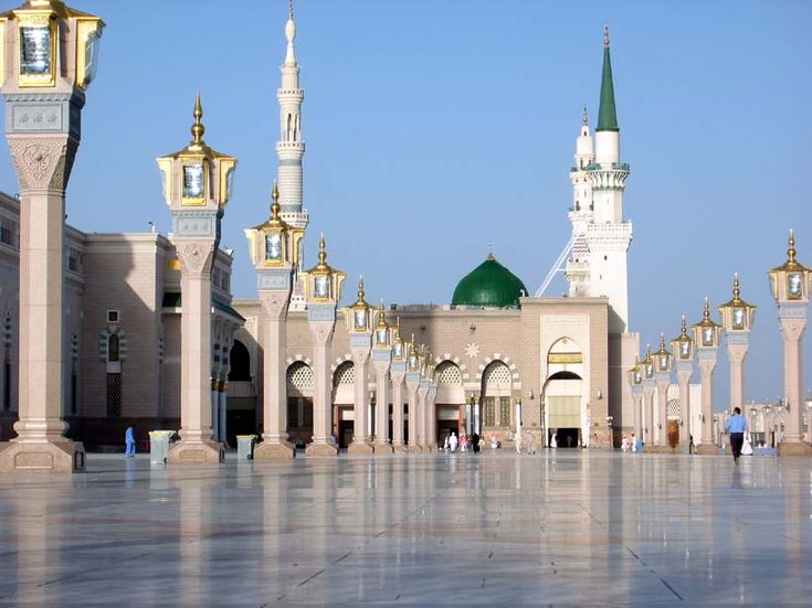 وظائف المدينة المنورة