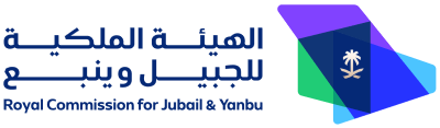 أستاذ مساعد - هندسة حاسب آلي